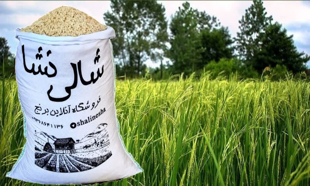 شکسته طارم معطر (لاشه)