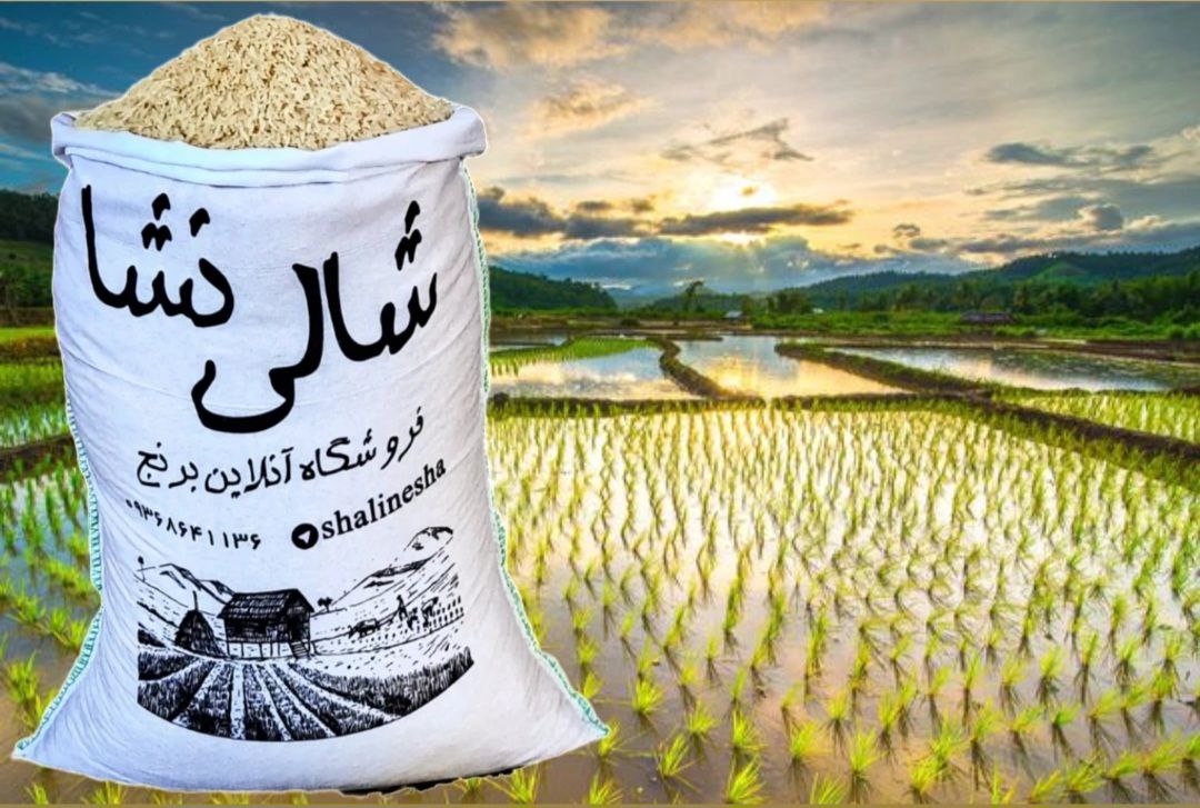 فجر سوزنی معطر