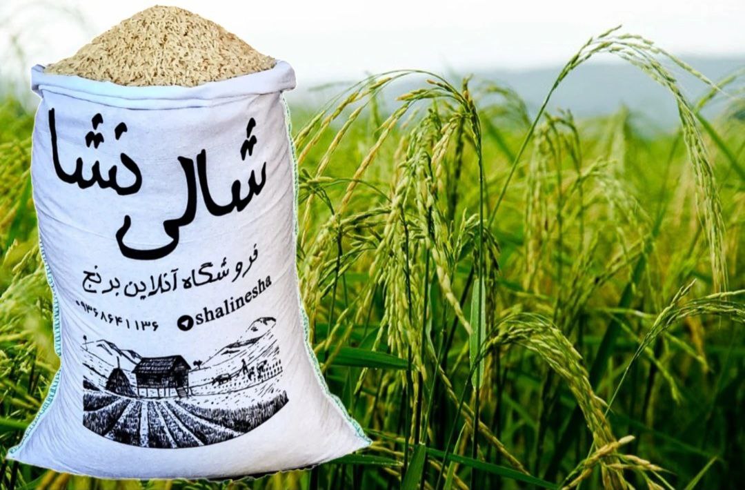 طارم دمسیاه