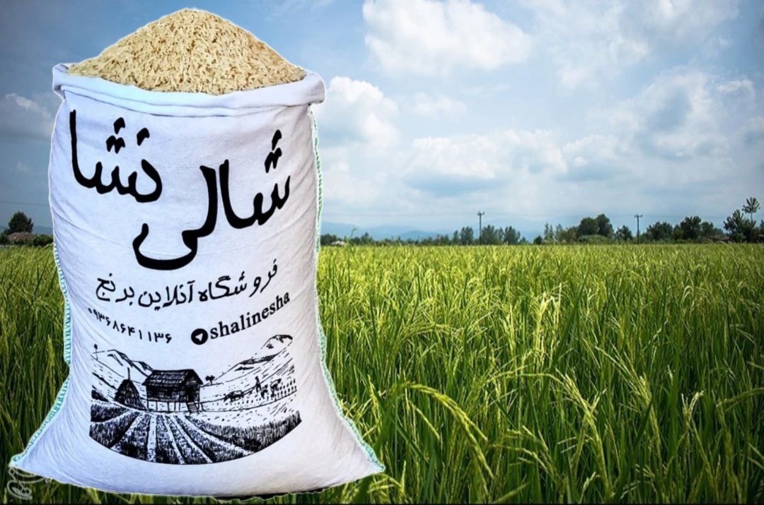 طارم امراللهی کشت دوم